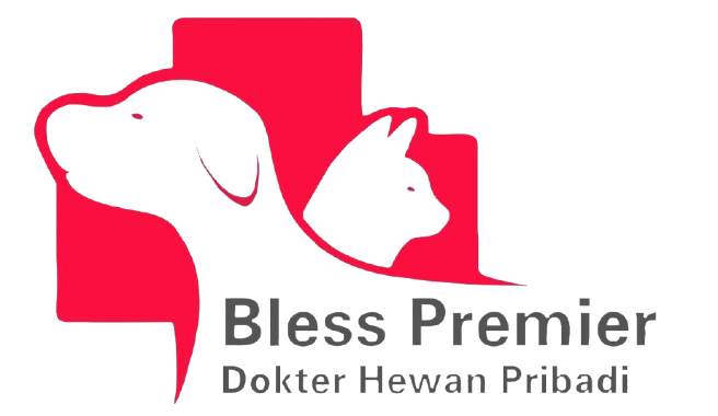 Dokter Hewan Home Visit